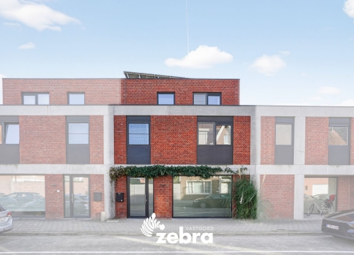 Instapklare woning met 4 SLK, 2 BADK en GARAGE!